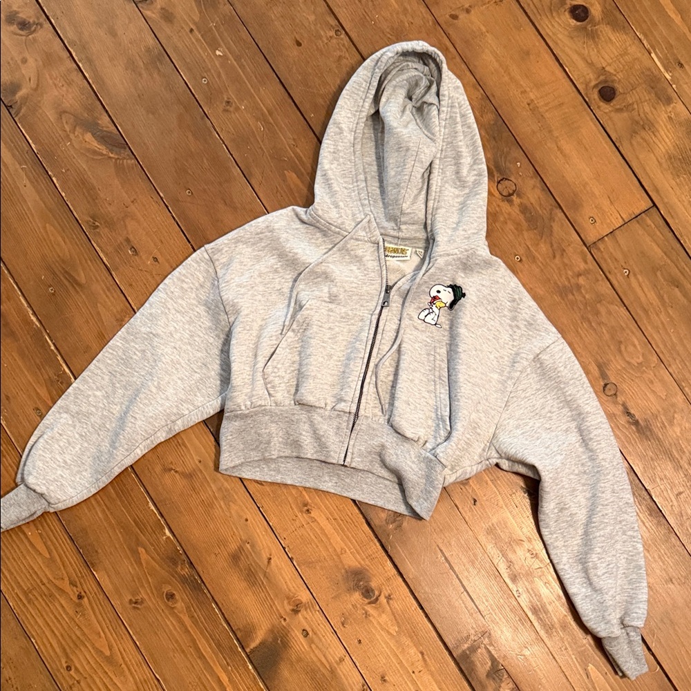 Aeropostale Gray Crop Hoodie with Character Patch